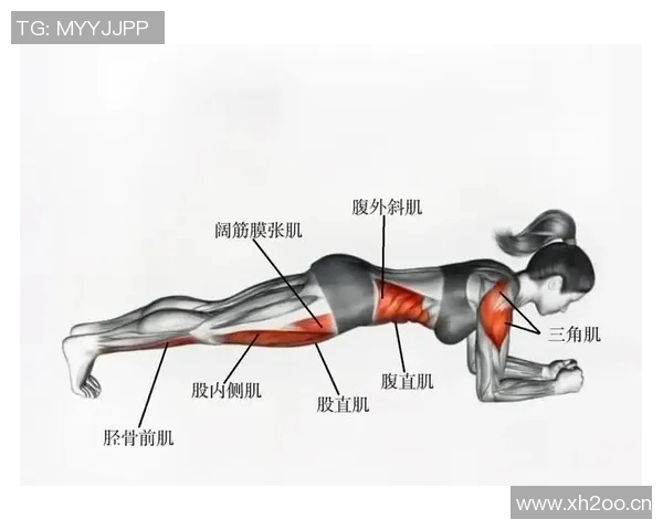 肩部健身器材:推荐有效锻炼肩部肌肉的健身器材及其使用技巧